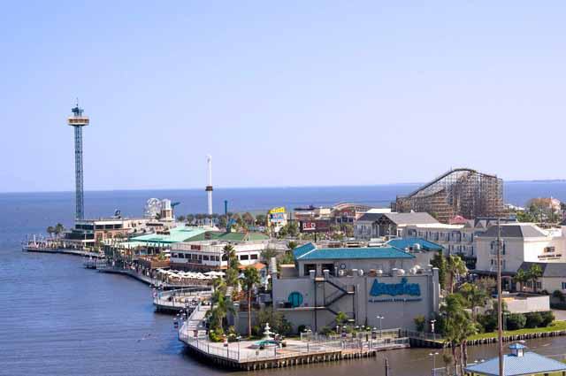 Translation Services Houston